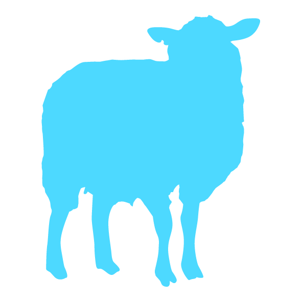 Op dit bedrijf worden schapen gehouden voor vlees, wol etc. of hobbymatig naast een andere productietak.