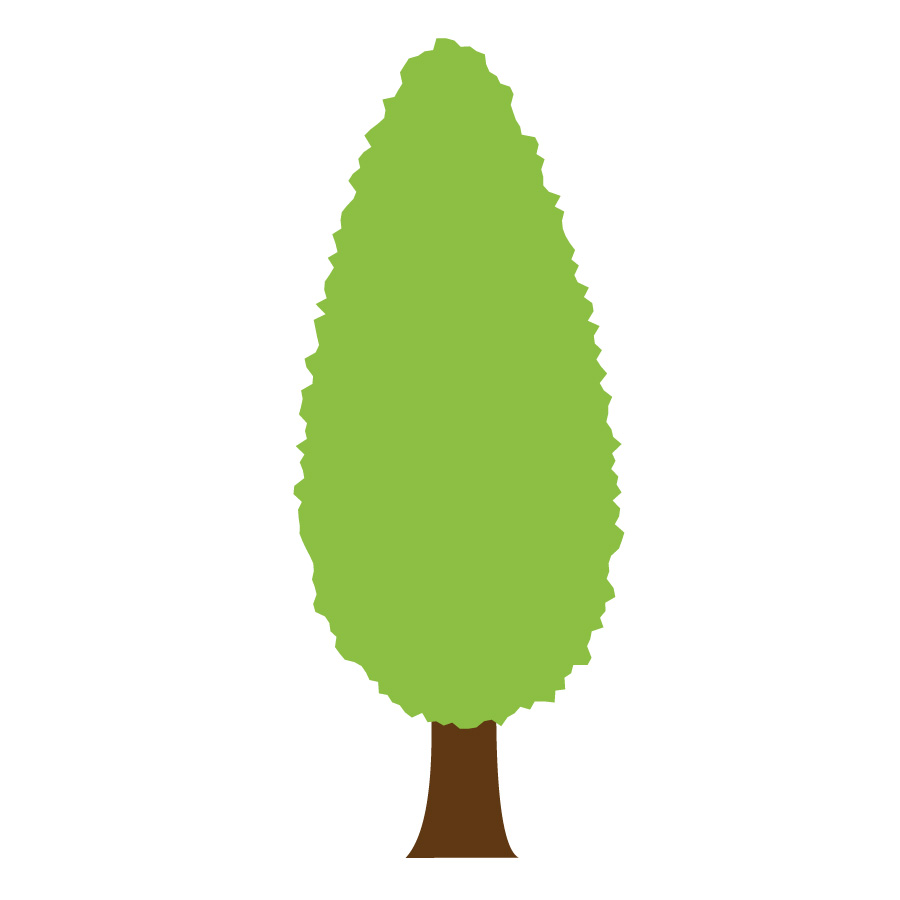 Op dit bedrijf worden bomen geteeld. In Rivierenland zijn dat vooral laan-, bos- en parkbomen. de verschillende soorten zijn te zien op dit bedrijf.