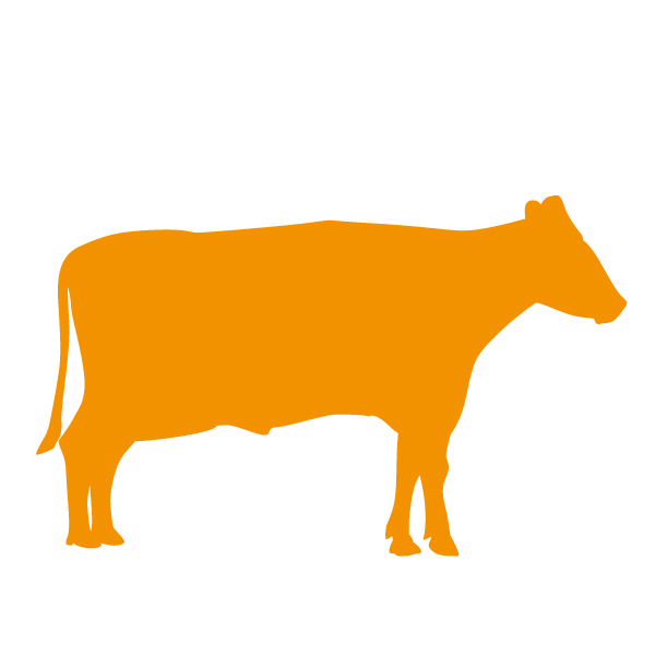 Op dit bedrijf worden koeien gehouden voor vleesproductie of hobbymatig naast een andere hoofdactiviteit.